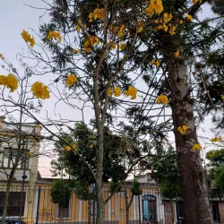 Iglesia de San Sebastián - Comitan De Dominguez