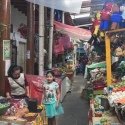 Mercado Municipal Comitán - Comitan De Dominguez