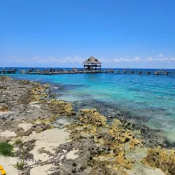 Chankanaab Beach Adventure Park - Cozumel