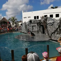 Chankanaab Beach Adventure Park - Cozumel