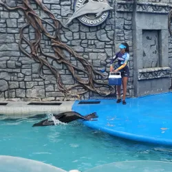 Chankanaab Beach Adventure Park - Cozumel