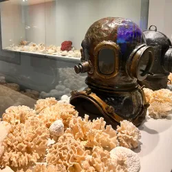 Cozumel Museum (Museo de la Isla de Cozumel) - Cozumel