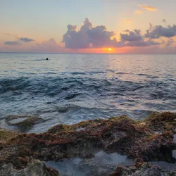Dzul-Ha Archaeological Site - Cozumel