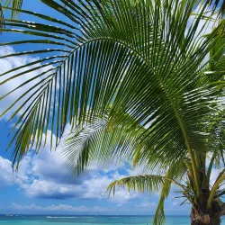 Dzul-Ha Archaeological Site - Cozumel