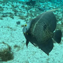 Dzul-Ha Archaeological Site - Cozumel