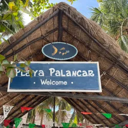 Palancar Reef - Cozumel