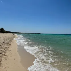 Palancar Reef - Cozumel