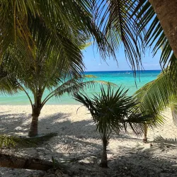 Palancar Reef - Cozumel