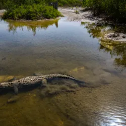 Punta Sur Eco Beach Park - Cozumel
