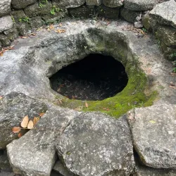 San Gervasio Mayan Ruins - Cozumel