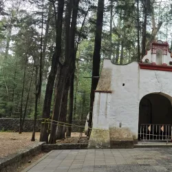 Desierto de los Leones National Park - Cuajimalpa