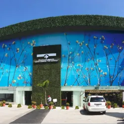 Plaza Cuajimalpa - Cuajimalpa