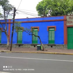 Museo Frida Kahlo (Casa Azul) - Cuauhtémoc