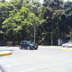 Parque México - Cuauhtémoc