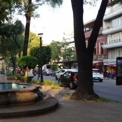 Roma and Condesa Neighborhoods - Cuauhtémoc