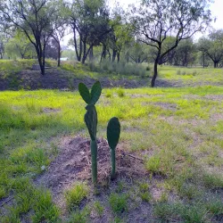 Parque de la Familia - Cuautitlan Izcalli