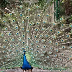 Parque Ecológico Chapultepec - Cuautla