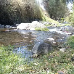 Parque Ecológico Cuautla - Cuautla