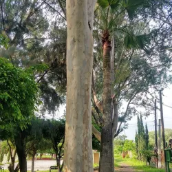 Parque Ecológico Cuautla - Cuautla