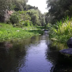 Parque Ecológico Cuautla - Cuautla