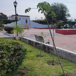 Parque Juárez - Cuautla