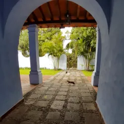 Jardín Borda - Cuernavaca