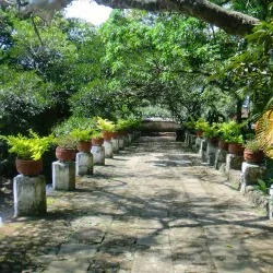 Jardín Borda - Cuernavaca