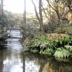 Parque Chapultepec - Cuernavaca