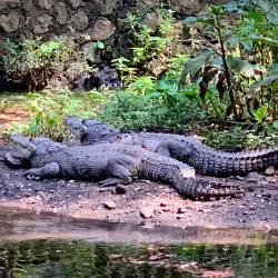 Parque Chapultepec - Cuernavaca
