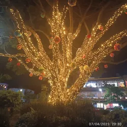 Plaza de Armas - Cuernavaca