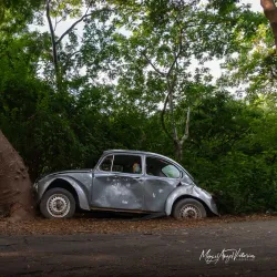 Jardín Botánico Culiacán - Culiacan
