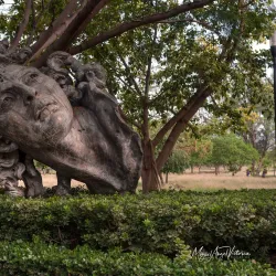 Jardín Botánico Culiacán - Culiacan
