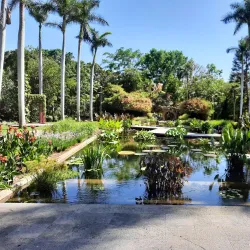 Jardín Botánico Culiacán - Culiacan