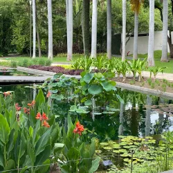 Jardín Botánico Culiacán - Culiacan