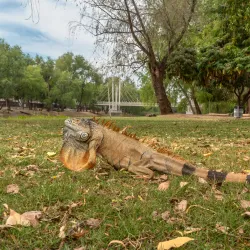 Parque Las Riberas - Culiacan