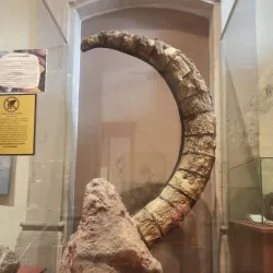 Museo Regional de Durango - Durango