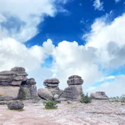 Parque Natural Mexiquillo - Durango