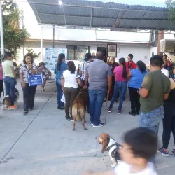 Templo de San Francisco - Durango