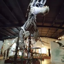 Museo de Historia de Ecatepec - Ecatepec