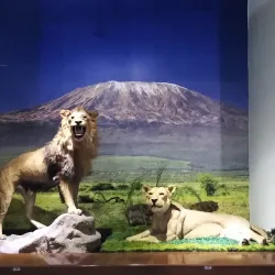 Museo de Historia de Ecatepec - Ecatepec