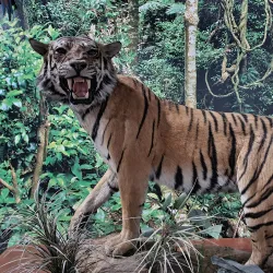 Museo de Historia de Ecatepec - Ecatepec