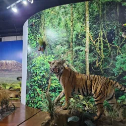 Museo de Historia de Ecatepec - Ecatepec