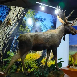 Museo de Historia de Ecatepec - Ecatepec