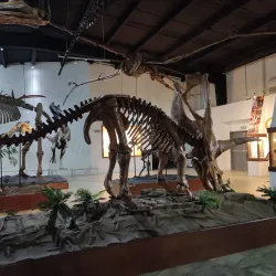Museo de Historia de Ecatepec - Ecatepec