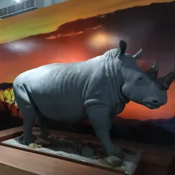 Museo de Historia de Ecatepec - Ecatepec