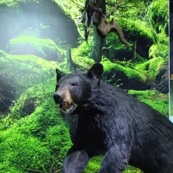 Museo de Historia de Ecatepec - Ecatepec