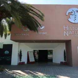 Museo de Historia de Ecatepec - Ecatepec