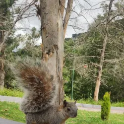 Parque de los Ciervos - Ecatepec