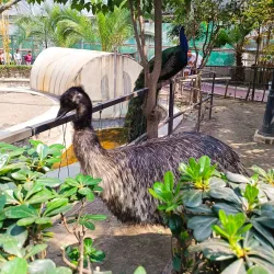 Parque Ecológico Ehécatl - Ecatepec