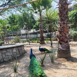 Parque Ecológico Ehécatl - Ecatepec